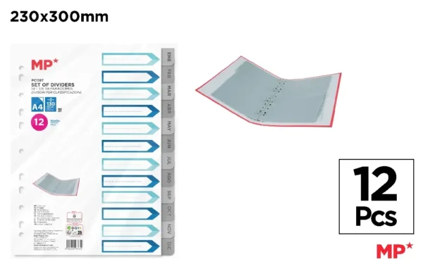 12 MONTHS PLASTIC DIVIDERS SET