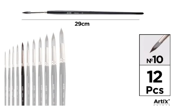 PROFESSIONAL BRUSHES.