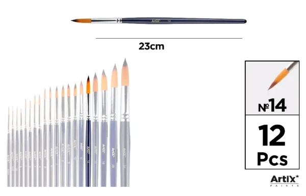 PROFESSIONAL BRUSHES.