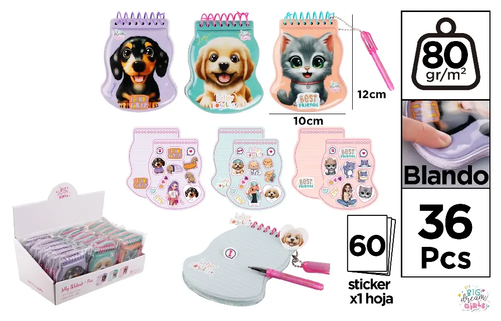 BDG SPIRAL NOTEBOOK WITH GEL COVER 10X12