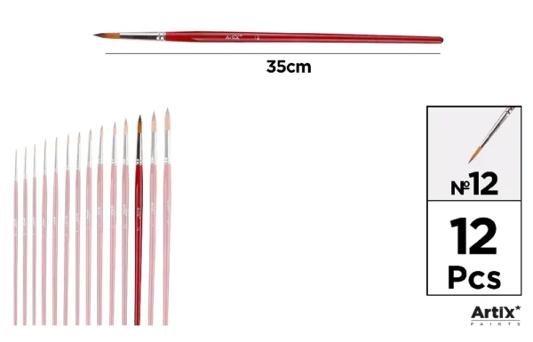 PROFESSIONAL BRUSHES.
