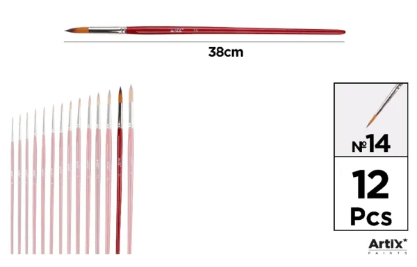 PROFESSIONAL BRUSHES.