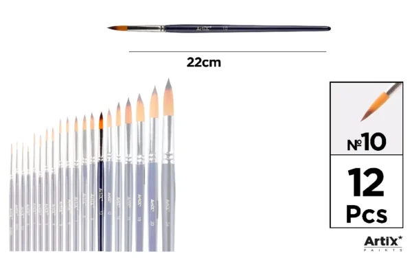 PROFESSIONAL BRUSHES.